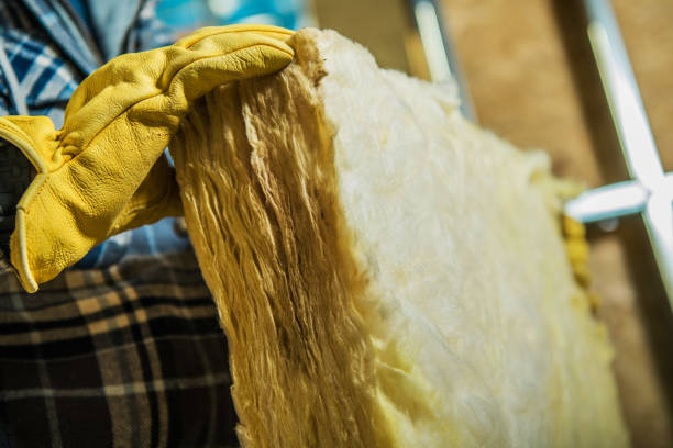 Best Insulation Installation Services in Murphy, NC